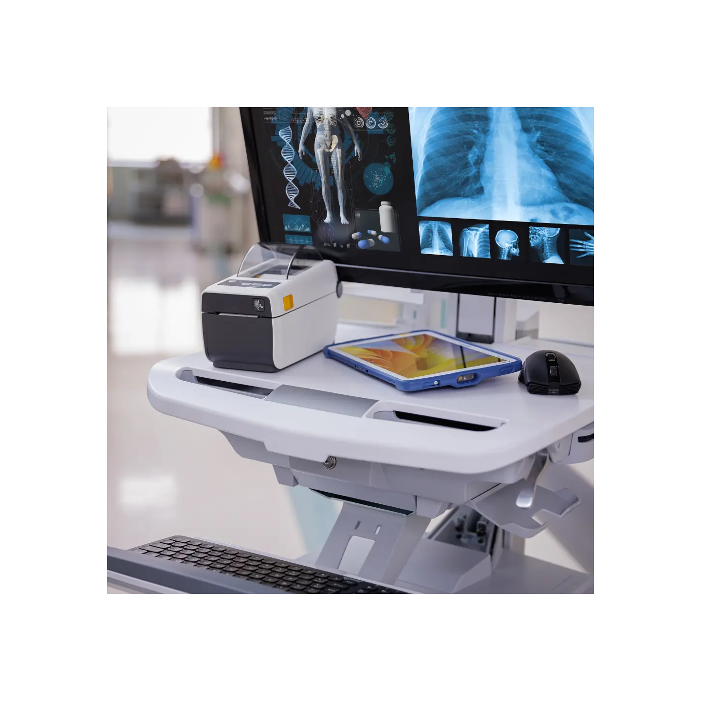 Impresora de Sobremesa Healthcare Premium 2" Zebra ZD611D HC