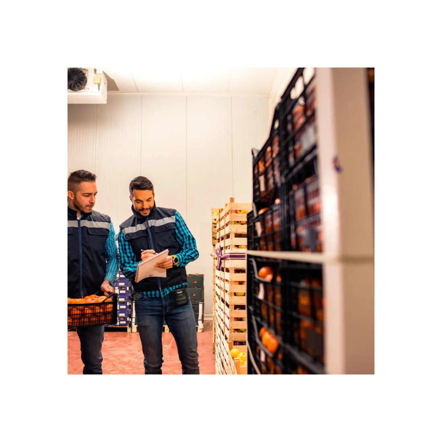 Impresora de etiquetas portátil 3" avanzada Zebra ZQ320 PLUS para uso en interior